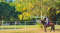 Horse Riding for Professionals from Sigiriya