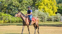 Horse Riding for Professionals from Habarana
