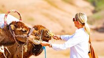 Premium Agafay Desert & Berber villages with Camel Safari Including Lunch 