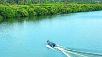 Birdwatching Boat Ride in Muthurajawela Marsh from Mount Lavinia