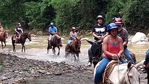 Combo Horse Back Riding and Zip Line in Vallarta