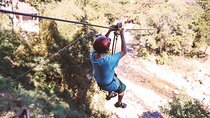 Experience Ziplines Circuits & Horse Back Riding