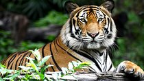 Golden Triangle Tour with Ranthambore by AC Car From Delhi