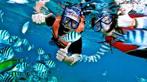 Snorkeling from Unawatuna