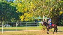 Horse Riding for Beginners from Sigiriya