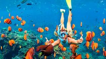 Snorkeling from Negombo