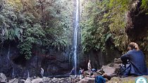 Private Guided Walk Levada 25 Fontes