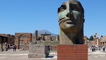 Pompeii Private Guided Half-Day Tour with transfer from Positano
