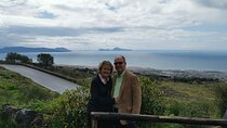 Pompeii SkipTheLine and Mt Vesuvius with Lunch&WineTasting from Naples Port