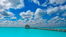 Holbox Tour! Nature Adventure from Cancun & Playa Del Carmen