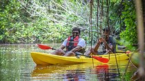 Kayaking from Bentota