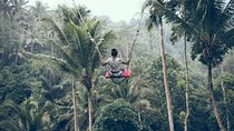 Best of Ubud with Jungle Swing Tour