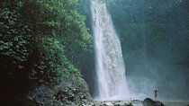 Private Tours Nungnung waterfall And Beratan Temple