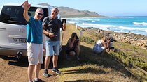 Private Visit To Hermanus Whale Watching Penguins And Winery + All fees included