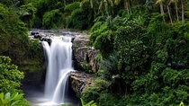 Best of Bali Waterfalls. Part 1