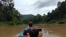 Taman Negara National Park Day Tour (SIC - Join In Tour)