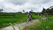 Kintamani Cultural and Nature Cycling Tour ( Manual Bike )