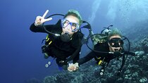 Introduction into diving (half day, 2 dives, no cert)