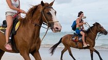 Horseback Riding in Punta Cana 