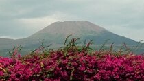 Pompeii SkipTheLine and Mt Vesuvius with Lunch&WineTasting from Rome