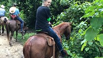 Horseback Riding Experience in Sierra Madre Mountains