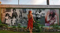 Bob Marley Museum Full Day Tour from Montego bay