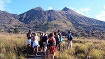 Batur Volcano Hiking and Rice Terrace With Private Tour
