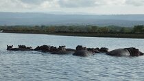 5 Days Safari to Amboseli N/P, Lake Naivasha, Maasai Mara N/R.