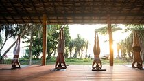 yoga class Sri Lanka - Aerial yoga (Ayurveda wellness package)