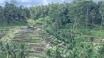 Best of Ubud & Mount Batur Volcano Private Bali Tour