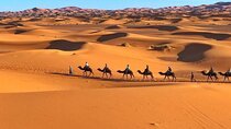 Morocco Camel treks experiences 2 nghits in Erg Chabbi desert