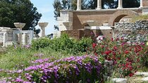Ephesus and Organic Farm Tour by Khalid