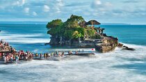 Water Temples and UNESCO Rice Terraces Private Bali Tour 