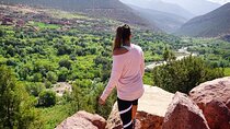 Day Trip to the Atlas Mountains with Locals