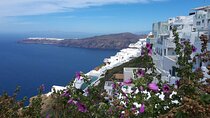 Santorini Highlights& Wine Tasting Private Tour