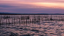 Albufera: Lake, Paella and Birdwatching