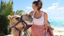 ENJOY UNIQUE CAMEL RIDE in Puerto Morelos with Transportation