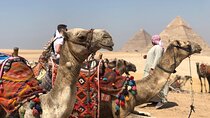 Amazing Day Tour to Cairo Highlights From Sharm ElSheikh By Plane