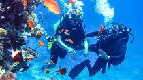 Scuba Diving in Mount Lavinia