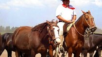 Gaucho Day Tour Santa Susana Estancia From Buenos Aires