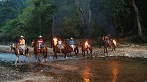 Experience Horse Back Riding & Ziplines 