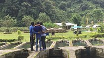 Tour with Dinner to Trout Fish Farm - Bhujung River 