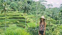 Bali Sightseeing combination Ubud Tour