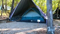 One Night Camping in Yala National Park