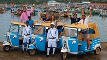 South Coast Tuk Tuk Safari from Galle
