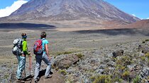 Mt. Kilimanjaro Day Trip Trek on Marangu Route