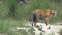 5 Days Bardia National Park Tour with Palpa Overnight Stay