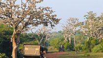 Bundala National Park Safari from Mirissa