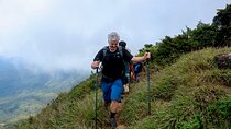 Knuckles Mountain Range Hike from Kandy