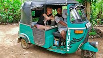 Village Tour by Tuk Tuk from Habarana